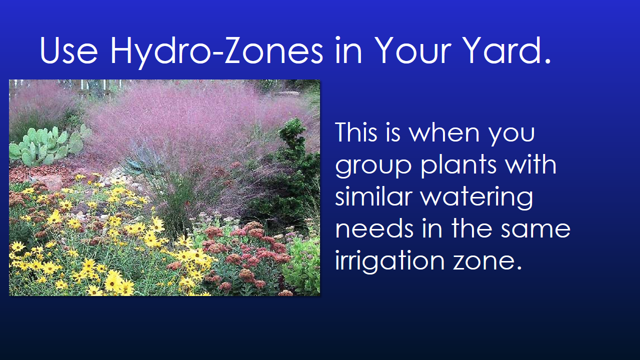 Water Conservation Presentation - Slide 7